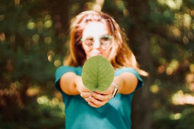 holding leaf