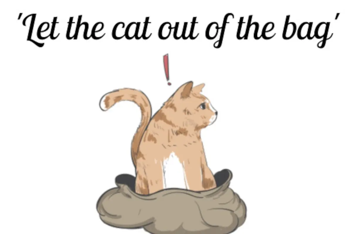 Phrase of the Week Let the cat out of the bag Languages United