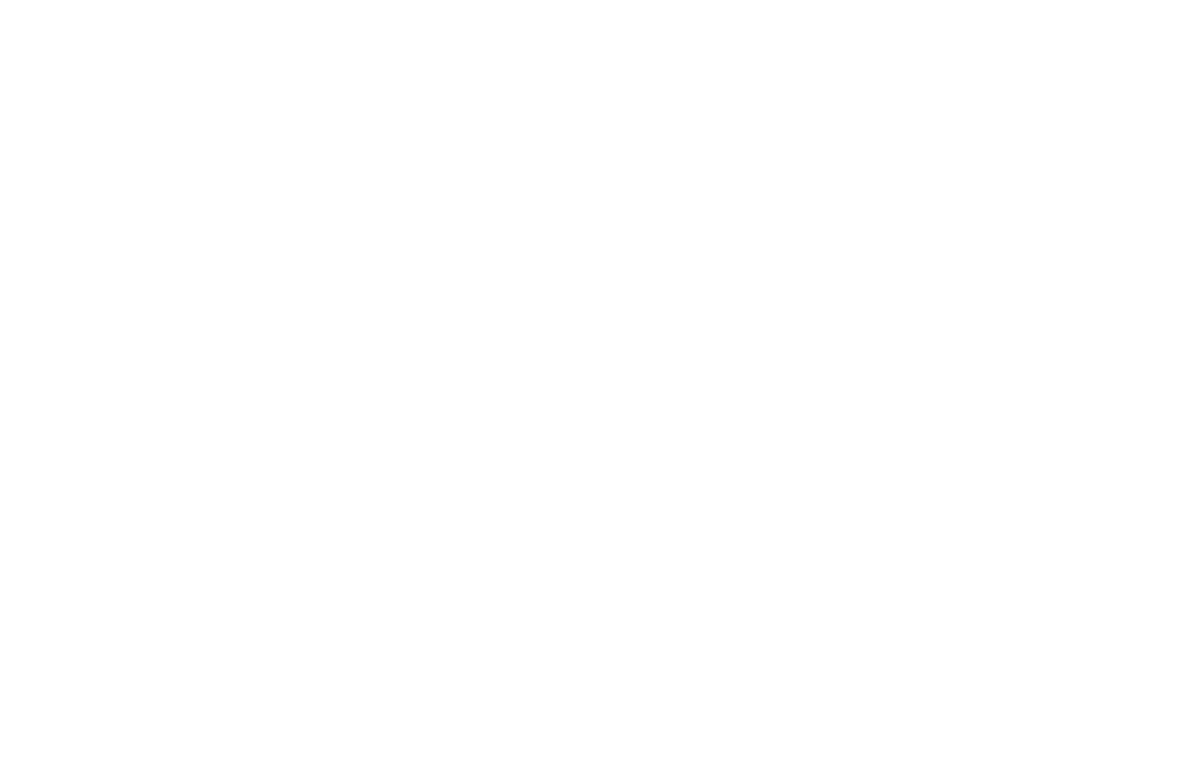 future of football logo